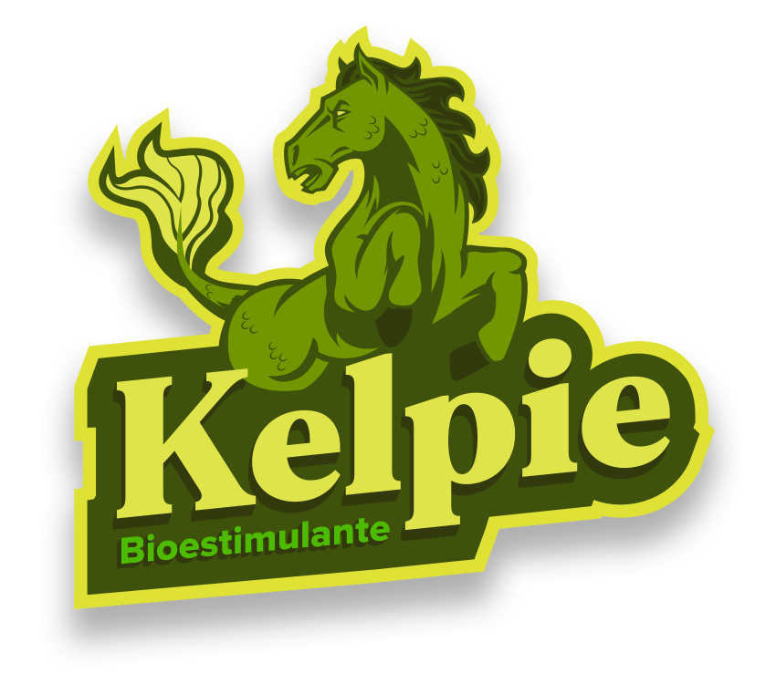 Kelpie_Logo_banner