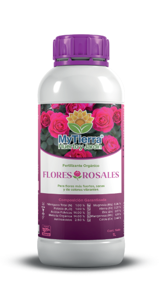 FloresRosales img1