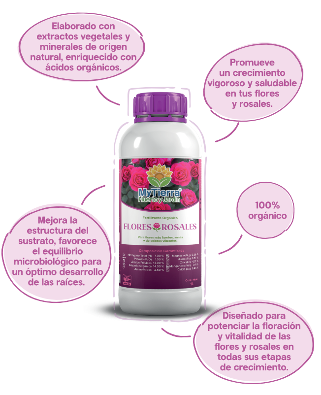 FloresRosales img2